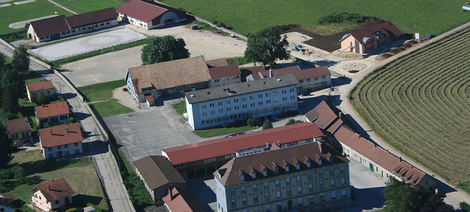 Bac Pro Cgea Soins Aux Animaux - Onisep