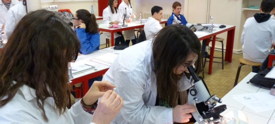 72300 - Sablé-sur-Sarthe - Lycée Professionnel Privé Sainte-Anne 72300 - Sablé-sur-Sarthe - Lycée Professionnel Privé Sainte-Anne