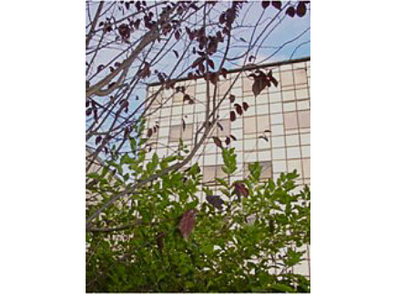 94300 - Vincennes - Lycée Privé Gregor Mendel 94300 - Vincennes - Lycée Privé Gregor Mendel