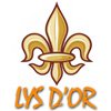 Services d'Aide et de Maintien à Domicile - 93380 - Pierrefitte-sur-Seine - Lys d'Or aide à domicile Services d'Aide et de Maintien à Domicile - 93380 - Pierrefitte-sur-Seine - Lys d'Or aide à domicile