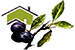 Résidence Autonomie - 41200 - Pruniers-en-Sologne - Résidence Autonomie Les Prunelles Résidence Autonomie - 41200 - Pruniers-en-Sologne - Résidence Autonomie Les Prunelles
