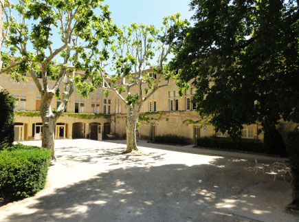 Centre de Soins de Suite - Réadaptation - 13640 - La Roque-d'Anthéron - Clinique du Château de Florans Centre de Soins de Suite - Réadaptation - 13640 - La Roque-d'Anthéron - Clinique du Château de Florans