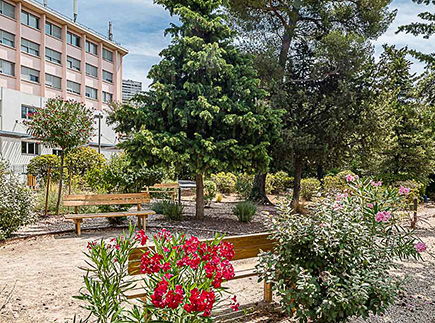 Centre de Soins de Suite - Réadaptation - 13009 - Marseille 09 - Korian - Clinique Massilia Les Pins Centre de Soins de Suite - Réadaptation - 13009 - Marseille 09 - Korian - Clinique Massilia Les Pins