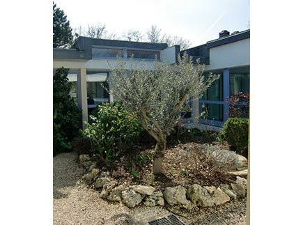 Institut Médico-Éducatif - 24300 - Nontron - CMS Bayot-Sarrazi - IME / SESSAD de Nontron Institut Médico-Éducatif - 24300 - Nontron - CMS Bayot-Sarrazi - IME / SESSAD de Nontron