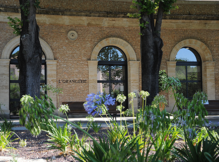 Résidences avec Services - 34000 - Montpellier - Résidence Services Séniors l'Orangerie du Château Levat Résidences avec Services - 34000 - Montpellier - Résidence Services Séniors l'Orangerie du Château Levat