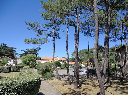 Institut Médico-Éducatif - 40200 - Mimizan - Institut Médico-Educatif et Professionnel du Tarn-et-Garonne Institut Médico-Éducatif - 40200 - Mimizan - Institut Médico-Educatif et Professionnel du Tarn-et-Garonne