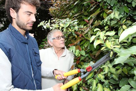 Services d'Aide et de Maintien à Domicile - 93600 - Aulnay-sous-Bois - Facil'Adom Services d'Aide et de Maintien à Domicile - 93600 - Aulnay-sous-Bois - Facil'Adom